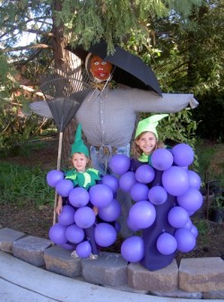 Post image for Bunch of Grapes Halloween Costume